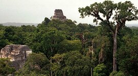 Timeline: Estado Liberal, Oligárquico y Cafetalero.