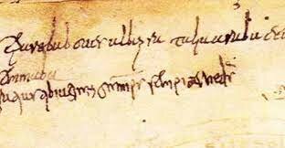 Indovinello Veronese