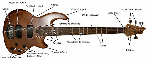 Partes del Bajo