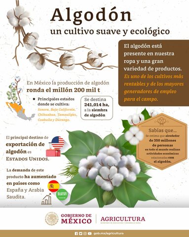 Exportación de algodón