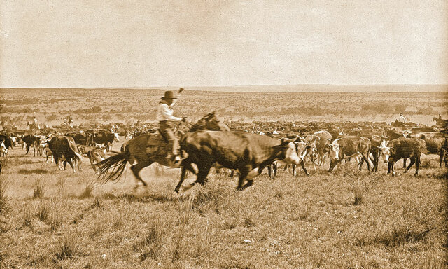 Cattle Drives