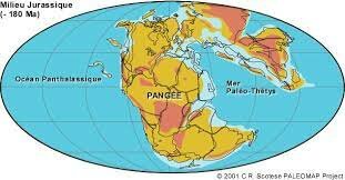 La dérive des continents à partir de -250 000 000
