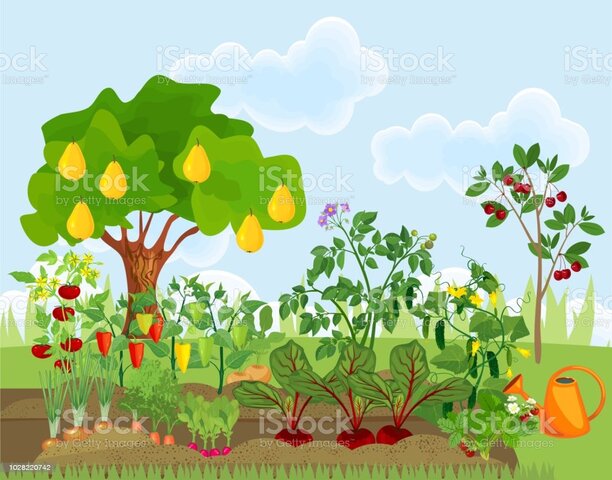 Frutales y hortalizas