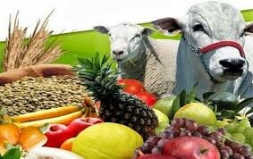 Producción en Sonora