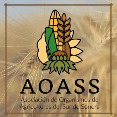 Comercializadora Agroindustrial