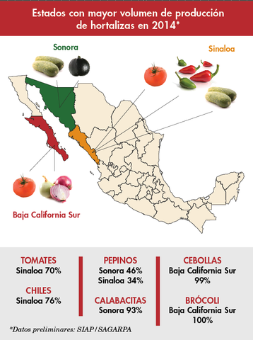 Producción de hortalizas en el norte del país
