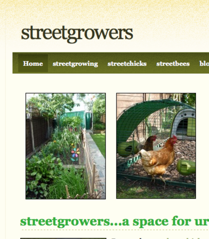 streetgrowers: using weebly i created my first website for urban growers and the Tallis streetbees project