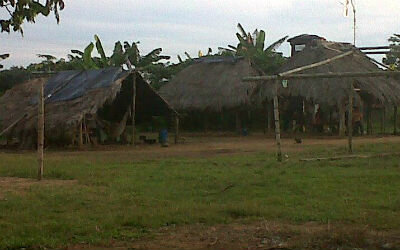 Autonomía Intercultural