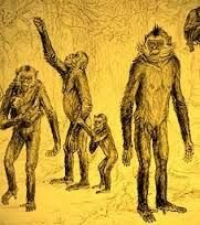 Aparición del género Homo (2,800,000 a. C)