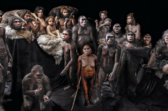 El surgimiento de Homo sapiens sapiens