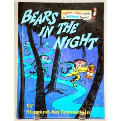 Bears in the Night published.