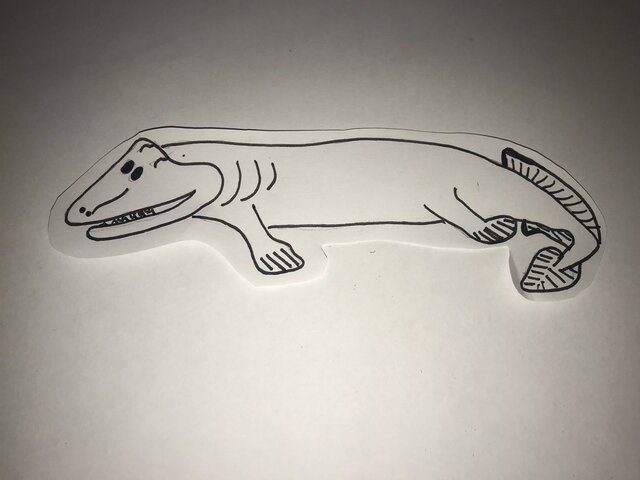 colonización a un ecosistema ecotono