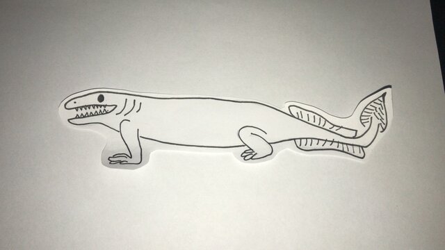 colonización a un ecosistema ecotono 2