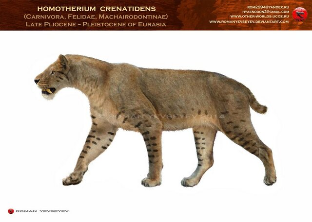HOMOTHERIUM