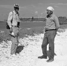 McArthur y Wilson