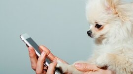 Timeline: sistema de comunicaciones 4ºA