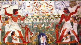 Timeline: Perspectiva Jerárquica