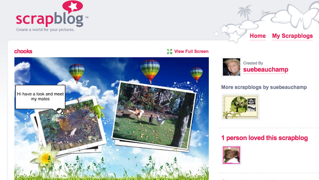 Scrapblog : i created some simple sample scrapblogs to see if they could be used with yr12 Health and Social care for their logbooks