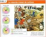 Rotación trienal en agricultura