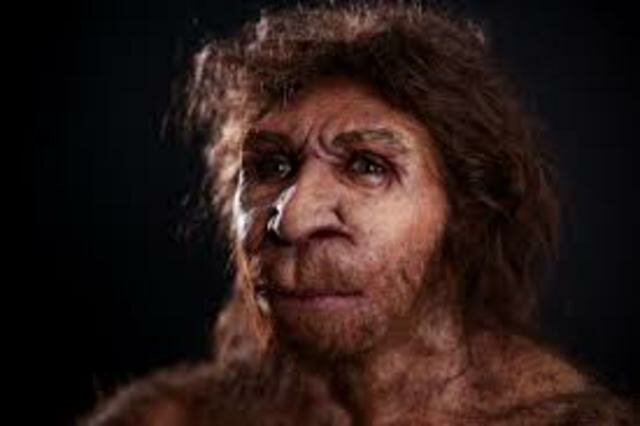 Homo Heidelbergensis