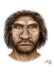 Homo Heindelbergensis