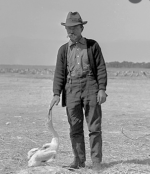 Pelican Island, Florida named first national wildlife refuge