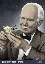 Lee De Forest inventa el tubo de vacío.