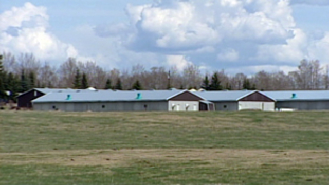 Infected swine-flu inspector flew twice