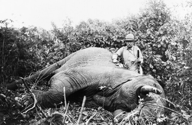 Roosevelt goes to africa