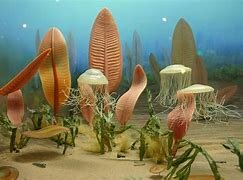 Proterosoikum ehk agueoon