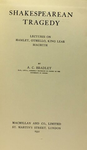 Novels and literary criticism