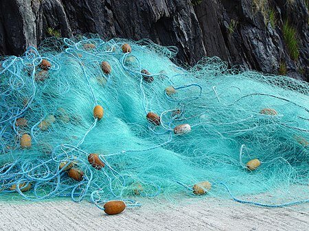 Fishing net