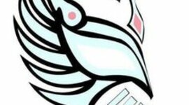 Timeline: Mi linea de vida