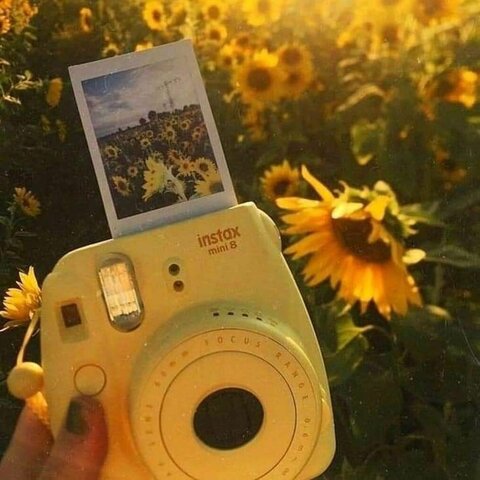 CAMARA DE FOTOS