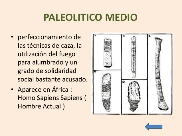 Paleolítico medio (125.000 a 40.000)