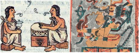 Siglo XVI aparecen gramáticas de lenguas vernáculas y indígenas.