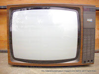 la primera televisión de el novio de mi madre: TELEFUNKEN PALCOLOR 6462J