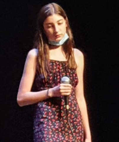 Vaig pujar a un escenari a fer un concert