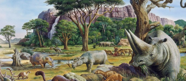Paleogeen