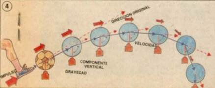 Leyes del Movimiento