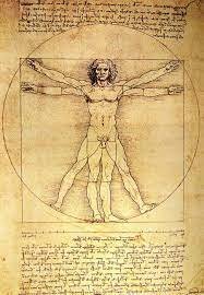 El hombre de Vitruvio