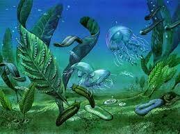 Proterosoikum ehk agueoon