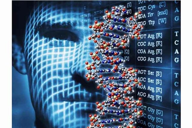 la toxicología in silico