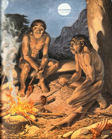 Esimene tuld kasutav inimene ehk Homo erectus