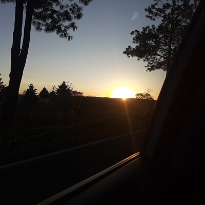 Timeline: Línea de mi vida