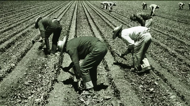 ¿Ya no más Programa Bracero?