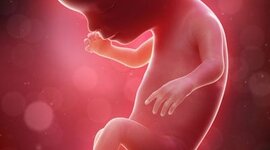 Timeline: Development Timeline