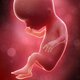 Prenatal