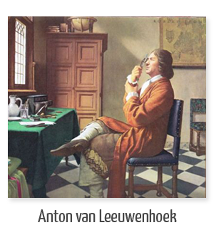 Se fabrican microscopios