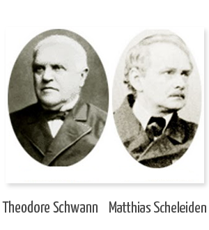 Propuesta de la teoria celular